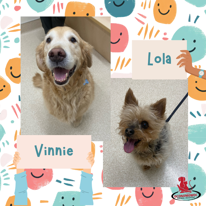 Oconomowoc Animal Hospital - Oconomowoc, WI