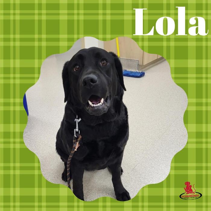 Oconomowoc Animal Hospital - Oconomowoc, WI