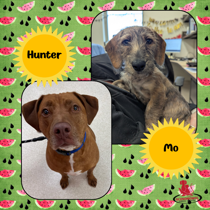 Oconomowoc Animal Hospital - Oconomowoc, WI