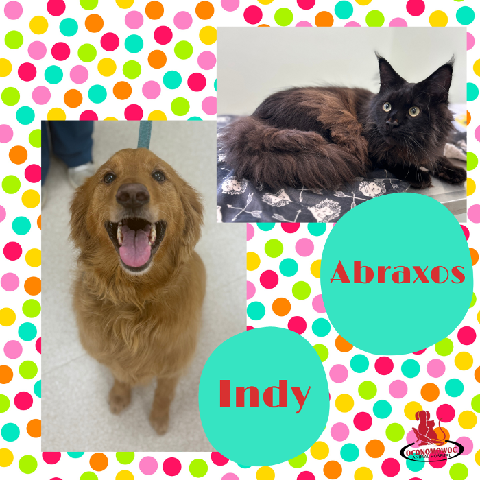 Oconomowoc Animal Hospital - Oconomowoc, WI