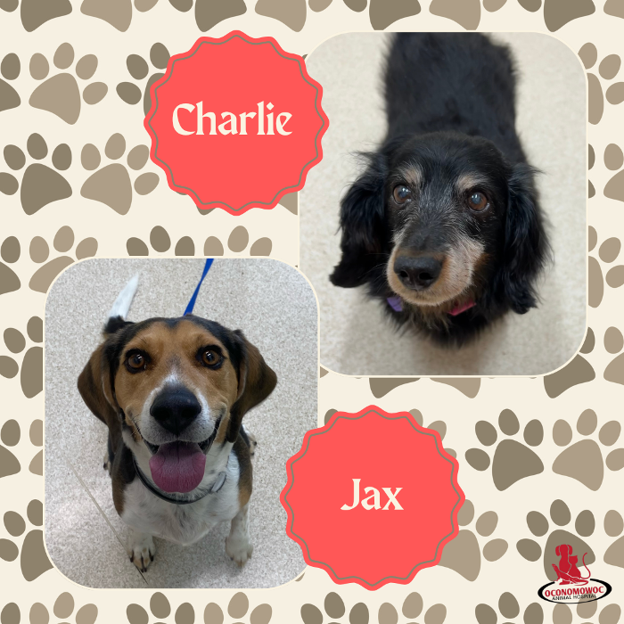 Oconomowoc Animal Hospital - Oconomowoc, WI