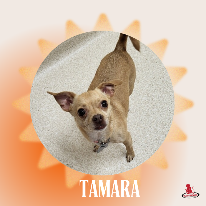 Oconomowoc Animal Hospital - Oconomowoc, WI