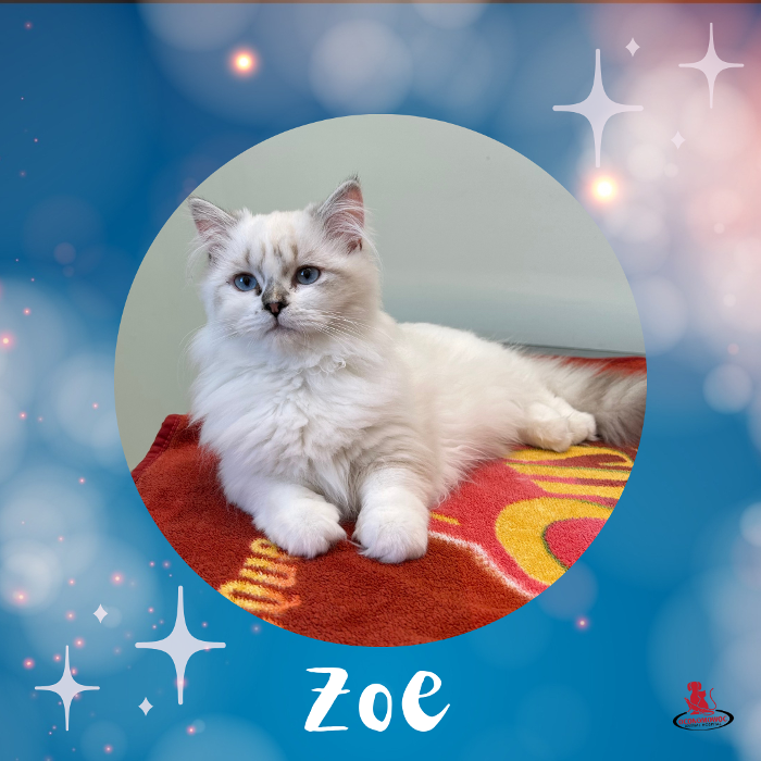 Oconomowoc Animal Hospital - Oconomowoc, WI