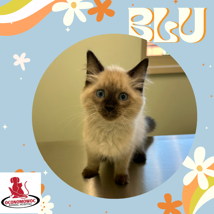 Oconomowoc Animal Hospital - Oconomowoc, WI