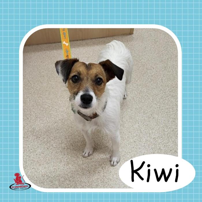 Oconomowoc Animal Hospital - Oconomowoc, WI