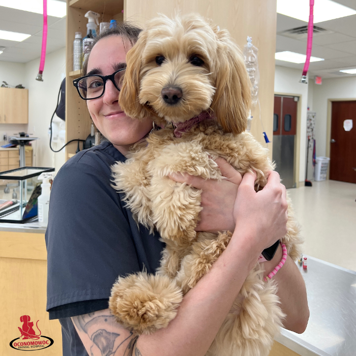 Oconomowoc Animal Hospital - Oconomowoc, WI