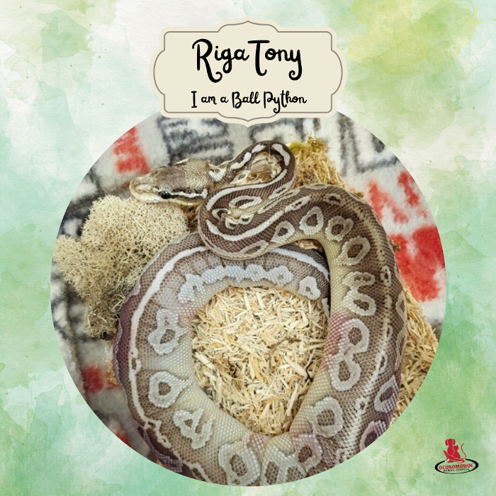 Oconomowoc Animal Hospital - Oconomowoc, WI