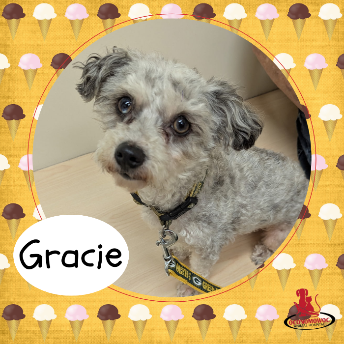 Oconomowoc Animal Hospital - Oconomowoc, WI