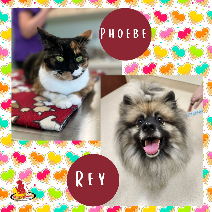 Oconomowoc Animal Hospital - Oconomowoc, WI