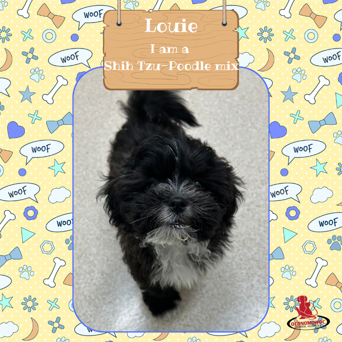 Oconomowoc Animal Hospital - Oconomowoc, WI