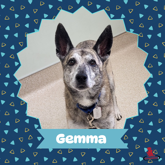 Oconomowoc Animal Hospital - Oconomowoc, WI