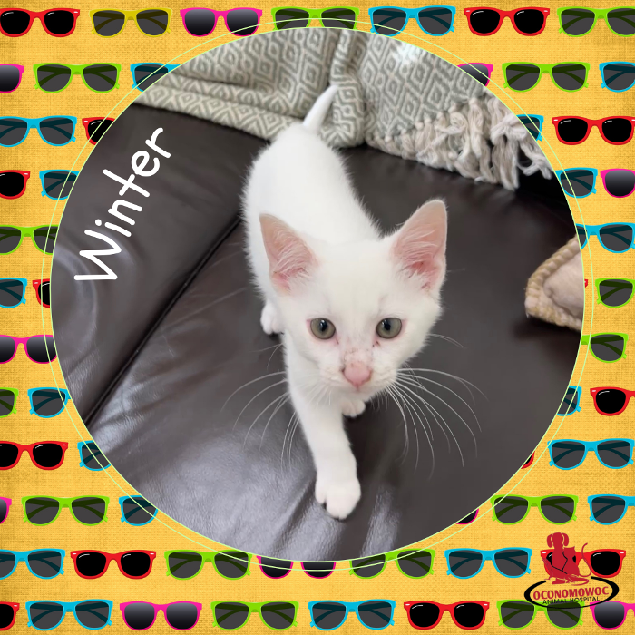 Oconomowoc Animal Hospital - Oconomowoc, WI