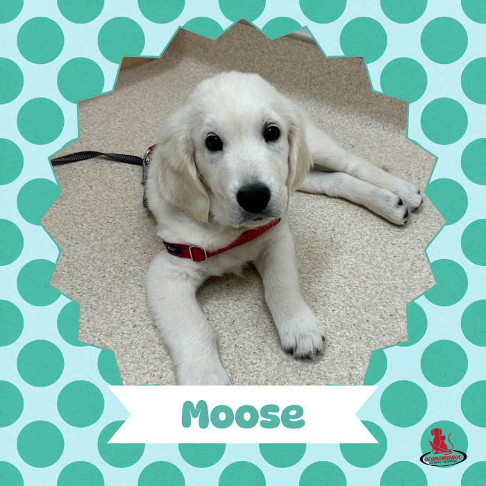 Oconomowoc Animal Hospital - Oconomowoc, WI