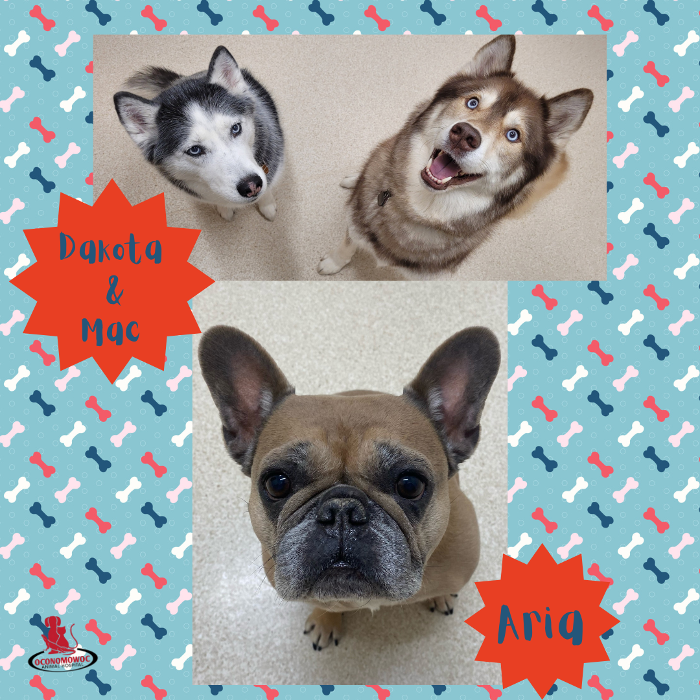 Oconomowoc Animal Hospital - Oconomowoc, WI