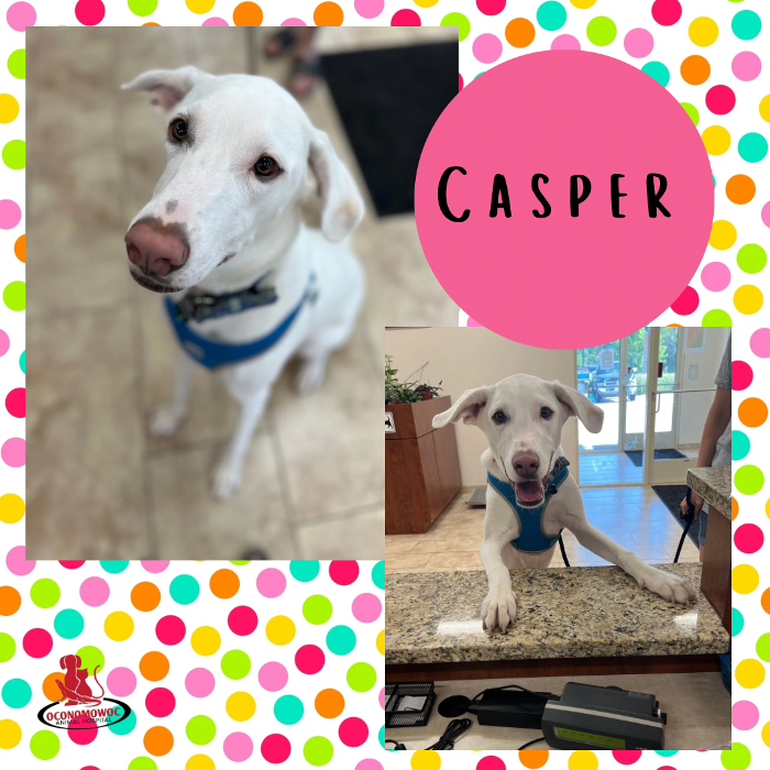 Oconomowoc Animal Hospital - Oconomowoc, WI