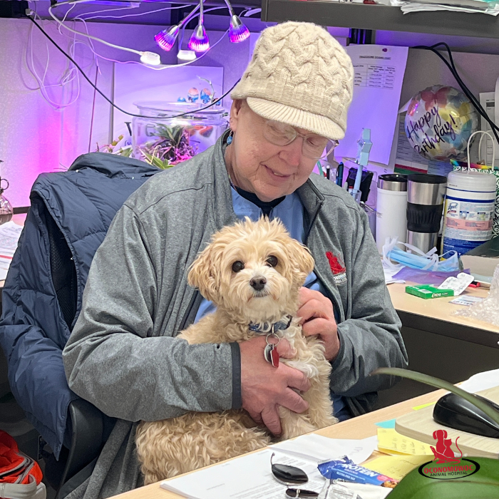 Oconomowoc Animal Hospital - Oconomowoc, WI