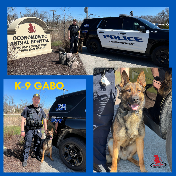 Oconomowoc Animal Hospital - Oconomowoc, WI