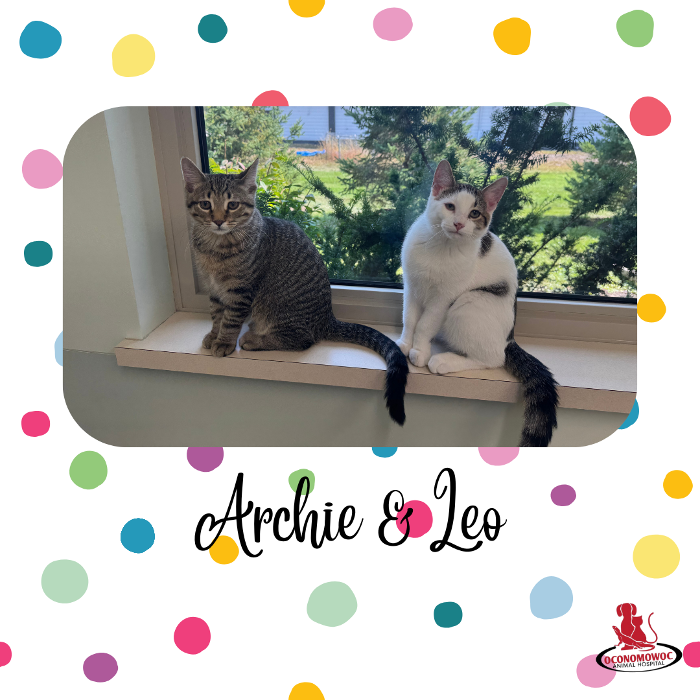 Oconomowoc Animal Hospital - Oconomowoc, WI