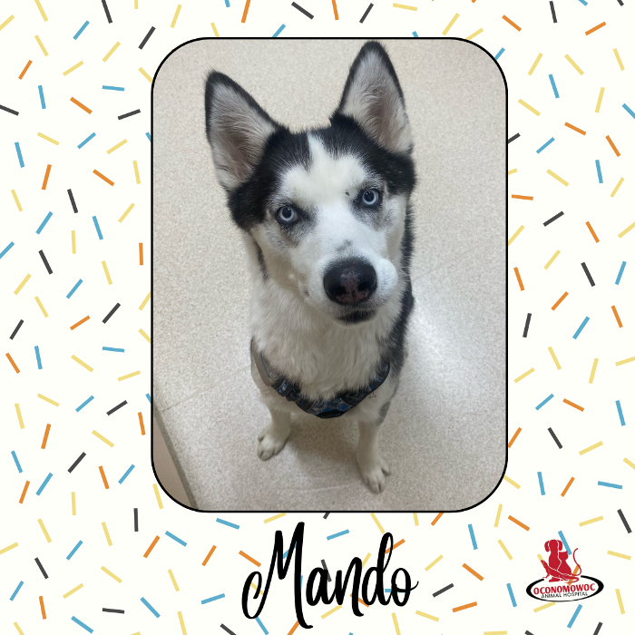 Oconomowoc Animal Hospital - Oconomowoc, WI