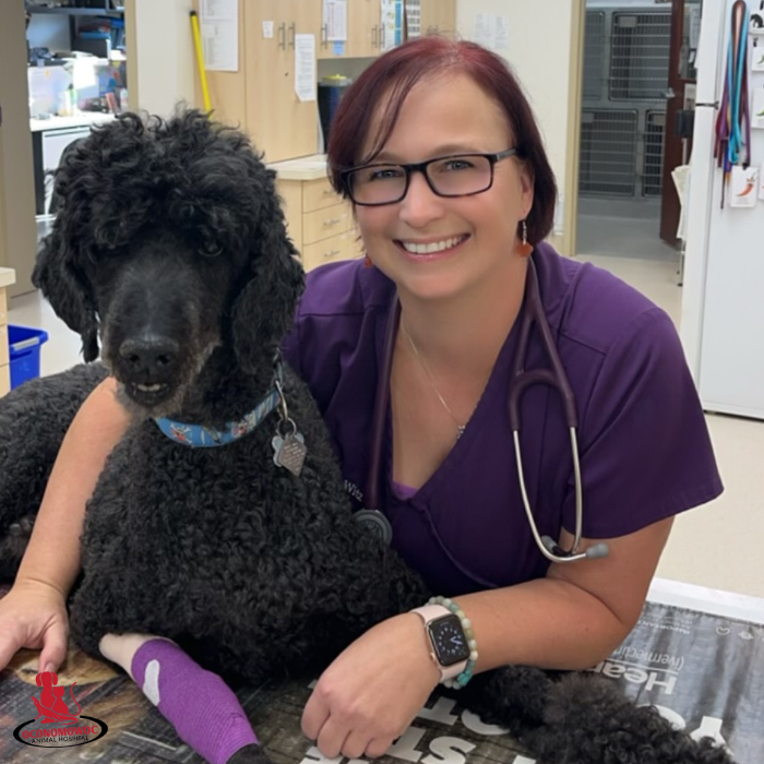 Oconomowoc Animal Hospital - Oconomowoc, WI