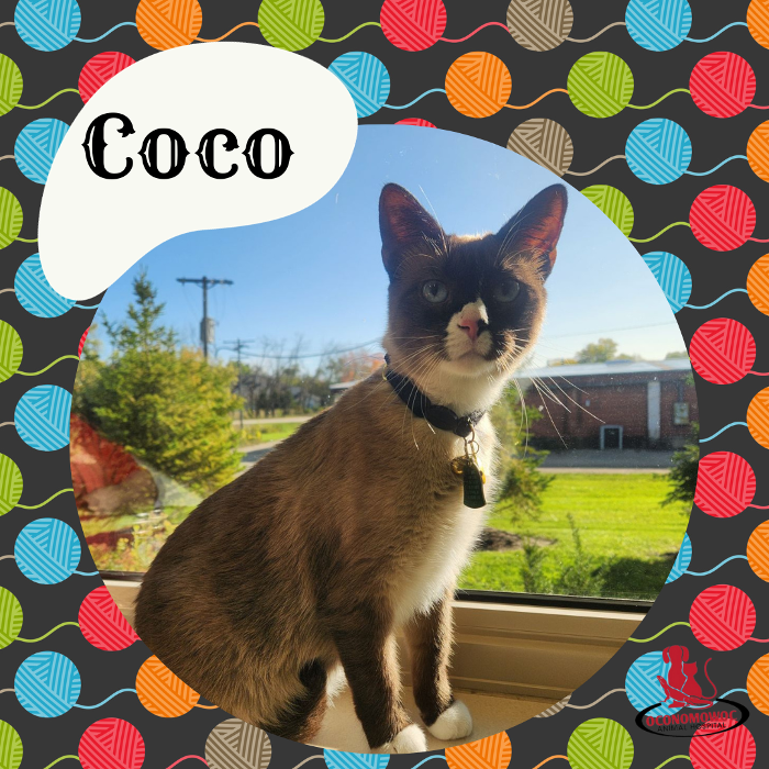 Oconomowoc Animal Hospital - Oconomowoc, WI