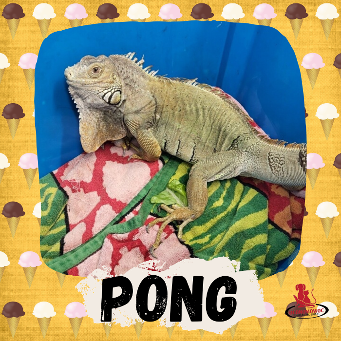 Oconomowoc Animal Hospital - Oconomowoc, WI