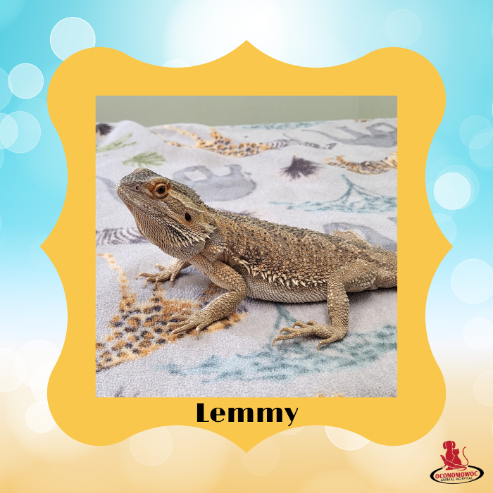 Oconomowoc Animal Hospital - Oconomowoc, WI