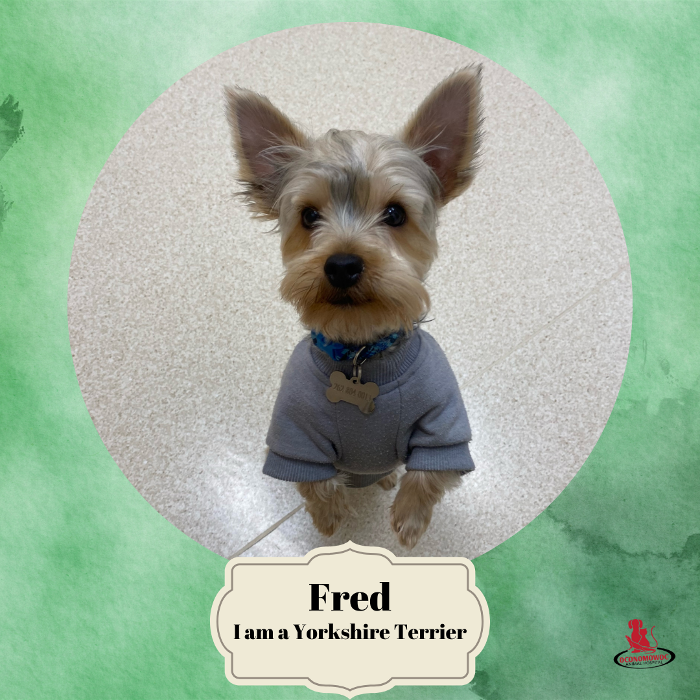 Oconomowoc Animal Hospital - Oconomowoc, WI