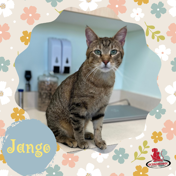 Oconomowoc Animal Hospital - Oconomowoc, WI