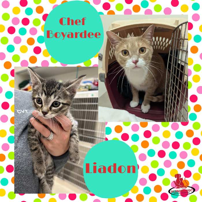 Oconomowoc Animal Hospital - Oconomowoc, WI