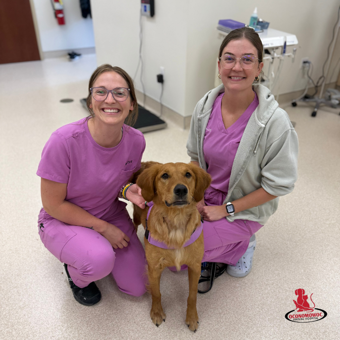 Oconomowoc Animal Hospital - Oconomowoc, WI