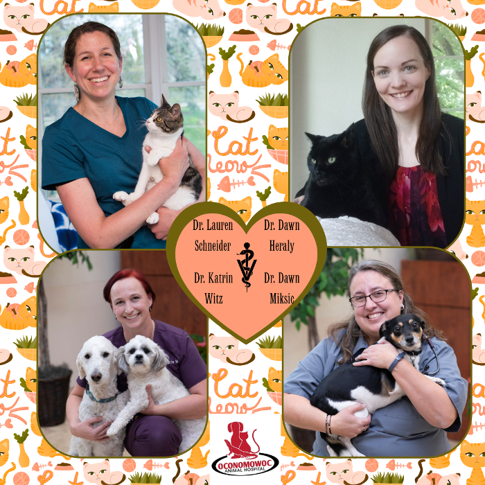 Oconomowoc Animal Hospital - Oconomowoc, WI