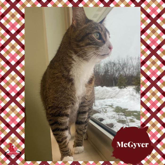 Oconomowoc Animal Hospital - Oconomowoc, WI