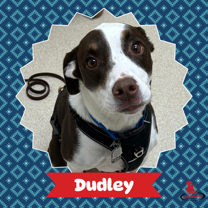 Oconomowoc Animal Hospital - Oconomowoc, WI