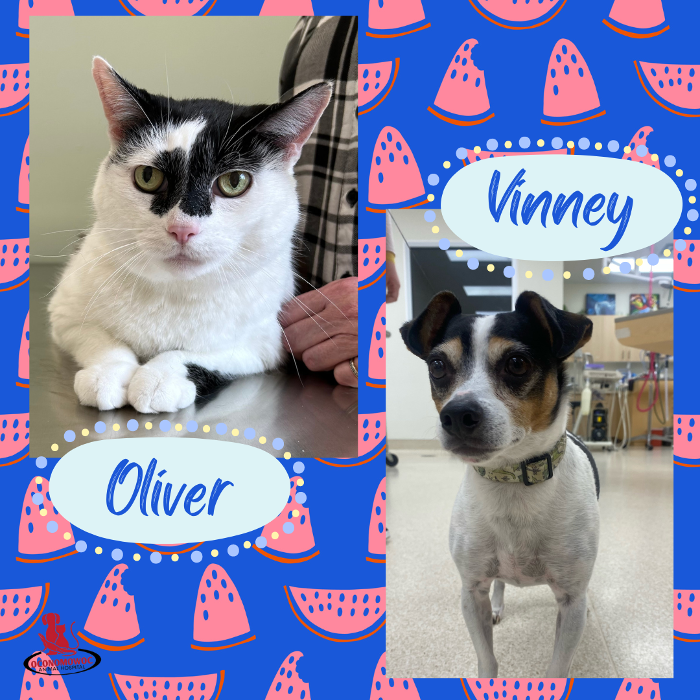 Oconomowoc Animal Hospital - Oconomowoc, WI