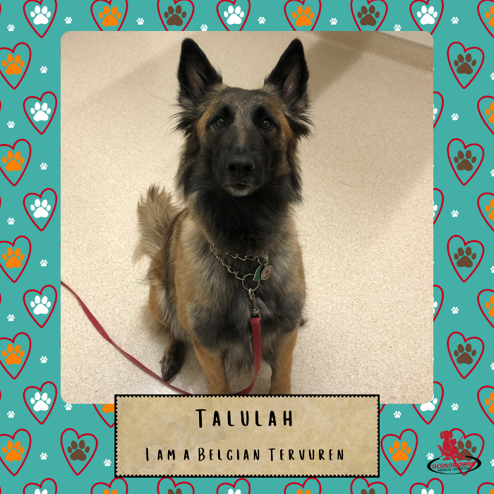 Oconomowoc Animal Hospital - Oconomowoc, WI