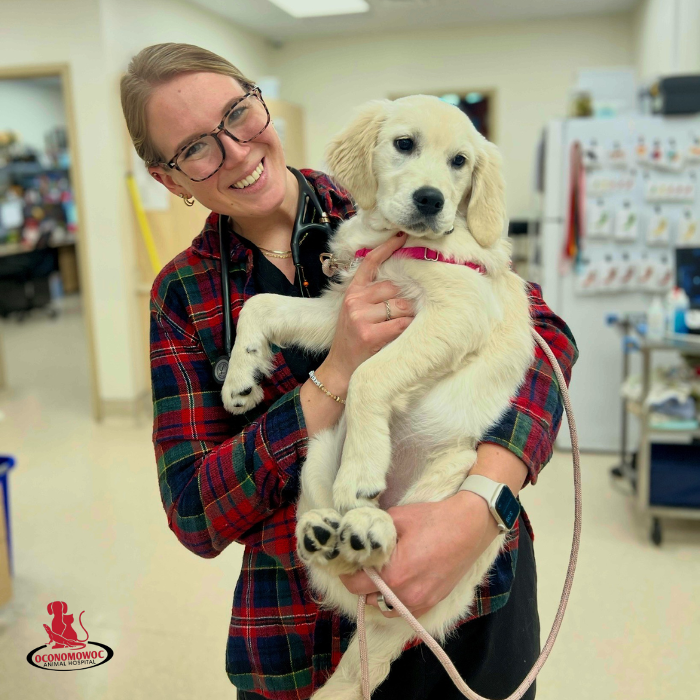 Oconomowoc Animal Hospital - Oconomowoc, WI