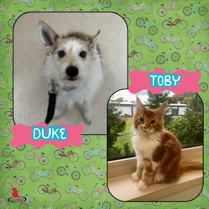 Oconomowoc Animal Hospital - Oconomowoc, WI