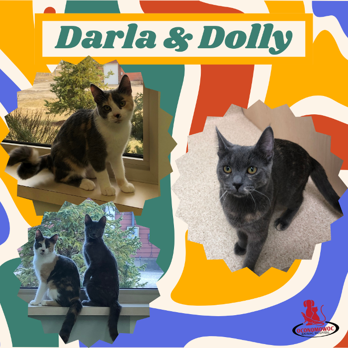 Oconomowoc Animal Hospital - Oconomowoc, WI