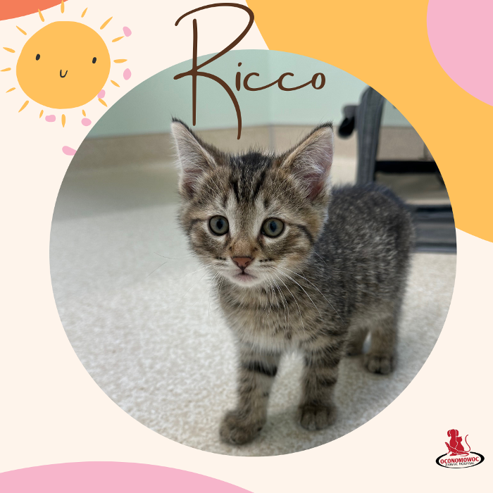 Oconomowoc Animal Hospital - Oconomowoc, WI