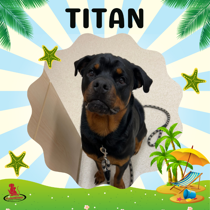 Oconomowoc Animal Hospital - Oconomowoc, WI