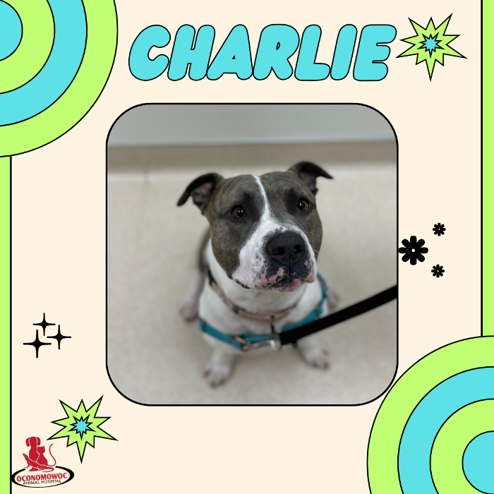 Oconomowoc Animal Hospital - Oconomowoc, WI