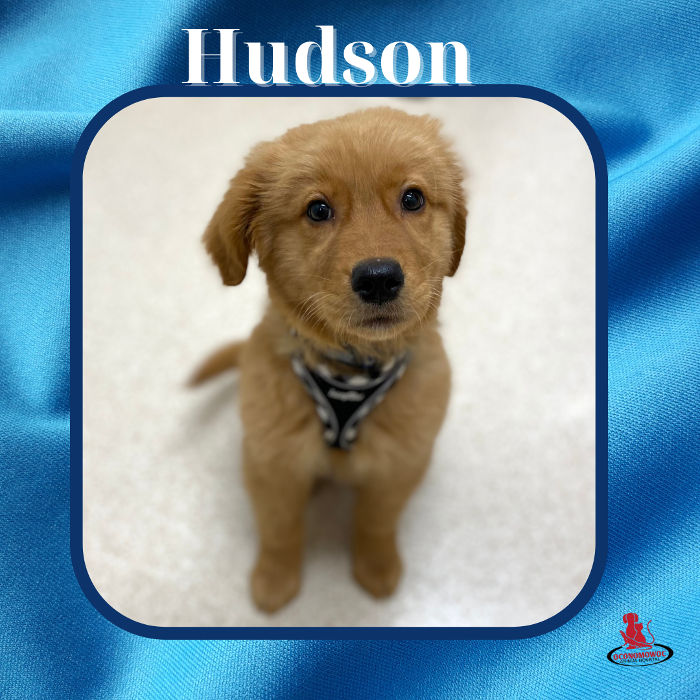 Oconomowoc Animal Hospital - Oconomowoc, WI