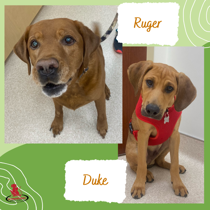 Oconomowoc Animal Hospital - Oconomowoc, WI