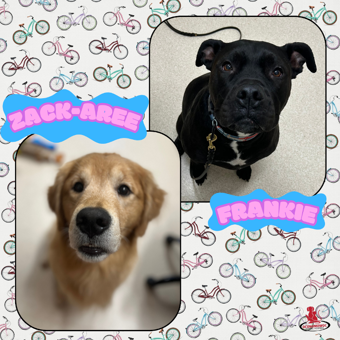 Oconomowoc Animal Hospital - Oconomowoc, WI