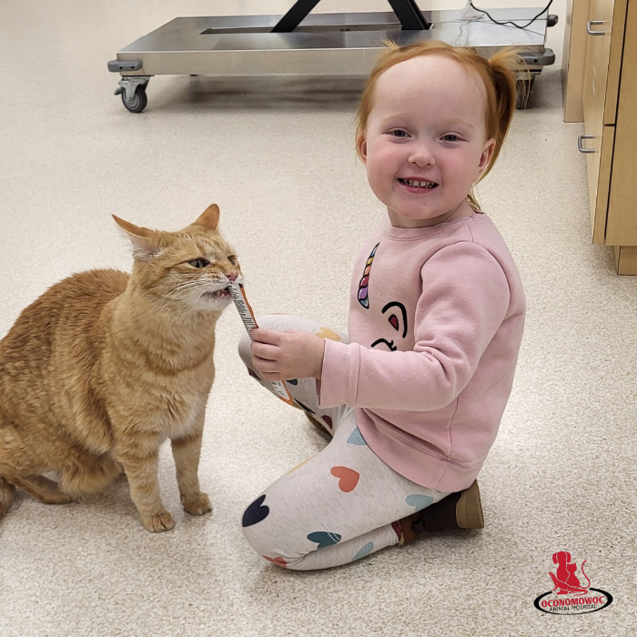 Oconomowoc Animal Hospital - Oconomowoc, WI