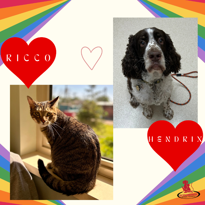 Oconomowoc Animal Hospital - Oconomowoc, WI