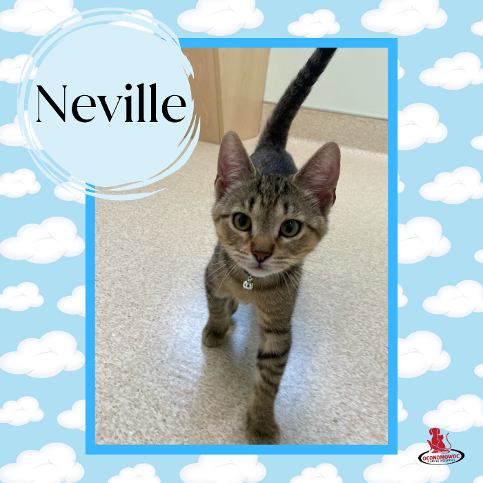 Oconomowoc Animal Hospital - Oconomowoc, WI