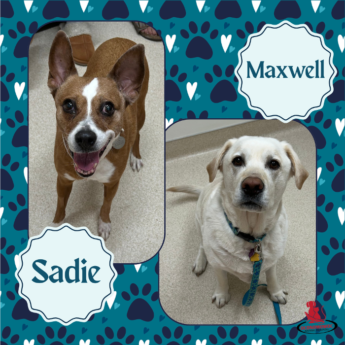 Oconomowoc Animal Hospital - Oconomowoc, WI