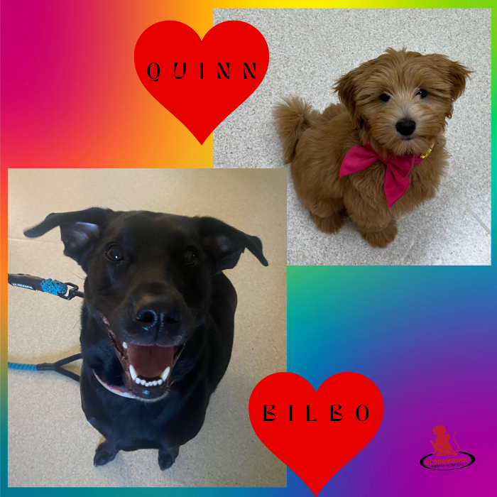 Oconomowoc Animal Hospital - Oconomowoc, WI